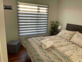 Departamento manantiales Punta Arenas